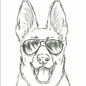 Meet your Posher, Izzy